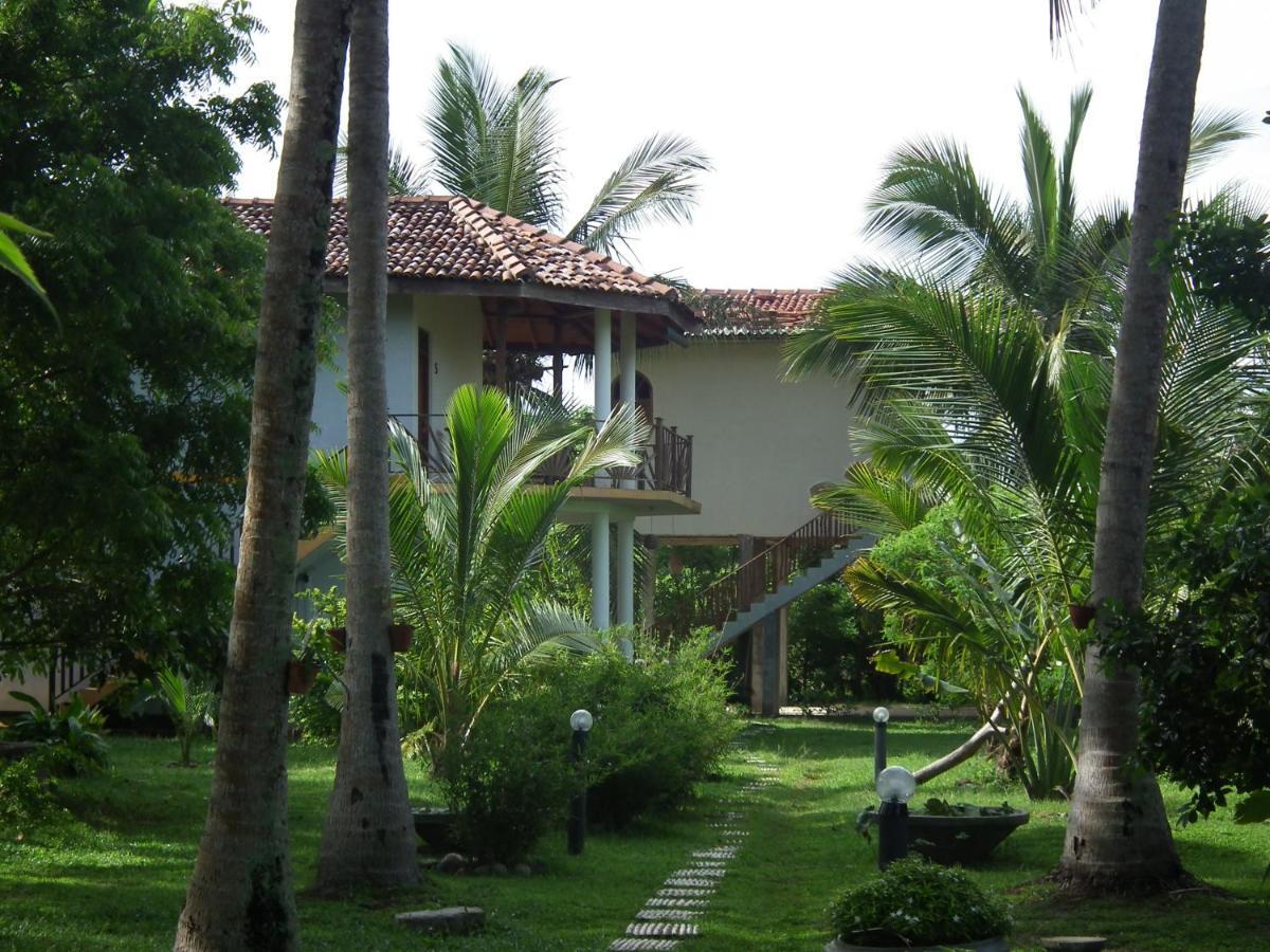Coconut Island Villa Tangalle Exterior photo