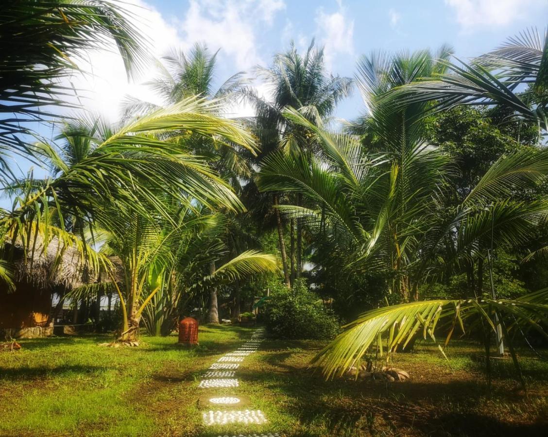 Coconut Island Villa Tangalle Exterior photo