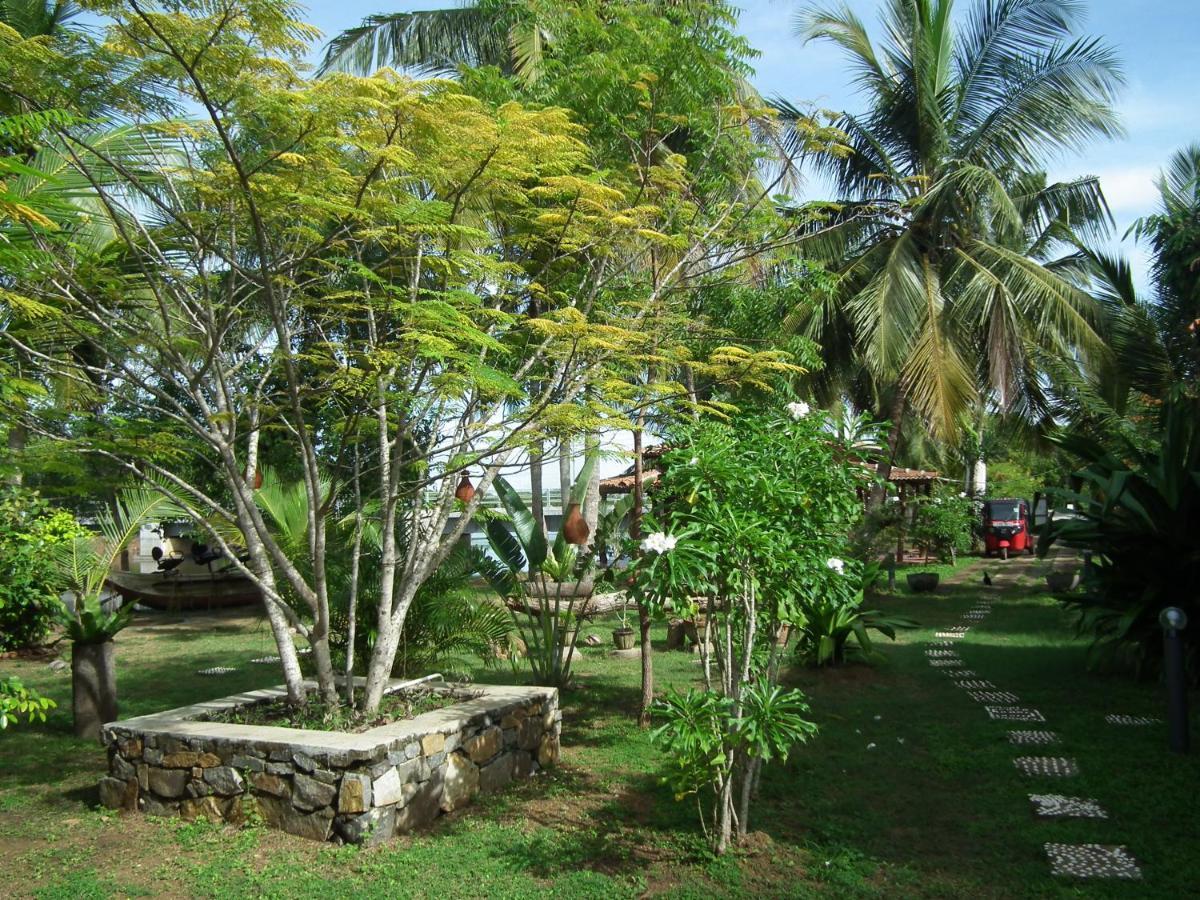 Coconut Island Villa Tangalle Exterior photo