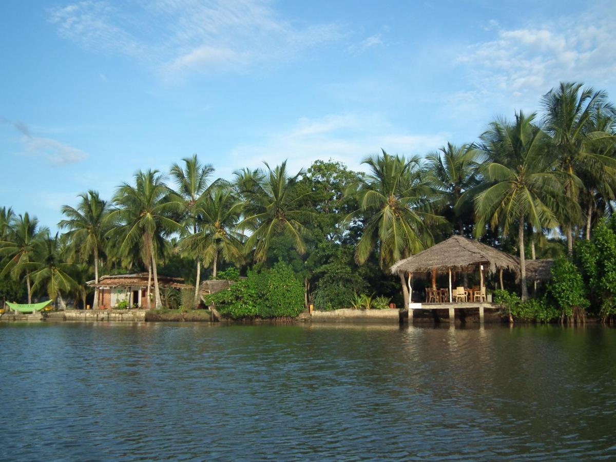 Coconut Island Villa Tangalle Exterior photo